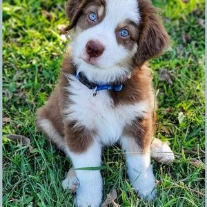 Meet your Posher, Feyi